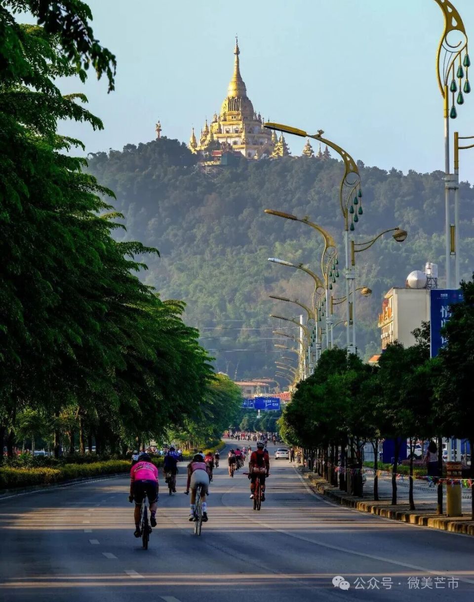 中心记者, 共同跳动的, rich